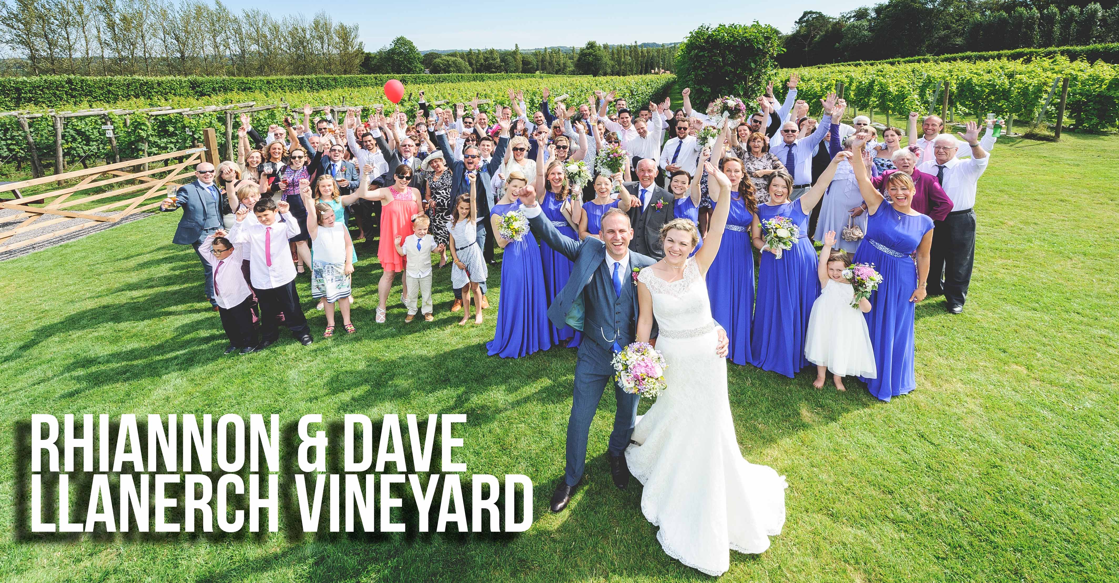 Group photo of all guests at wedding at llanerch vineyard